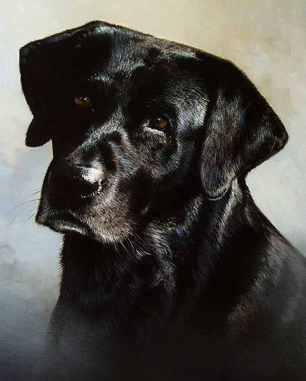 Black Lab